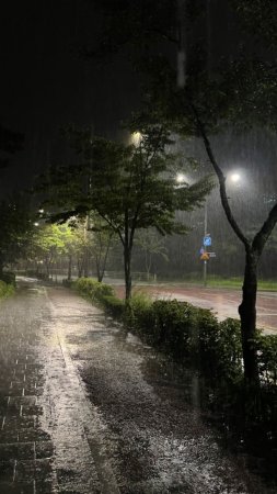 Rainy street