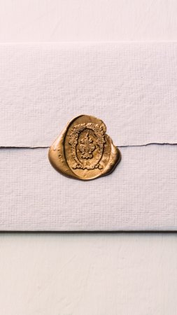Seal stamp скачать фон 1424 x 2532
