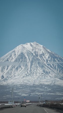 Виды камчатки