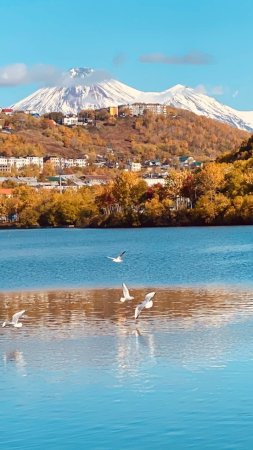 Петропавловск-камчатский авачинский вулкан