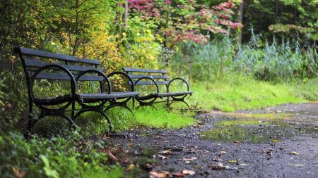 Park bench скачать фон 1920 x 1080