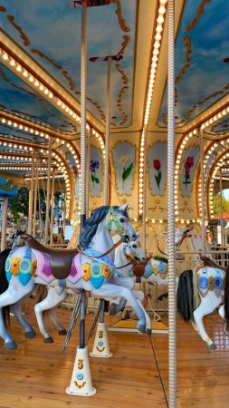 Carousel horses скачать фон 720 x 1280