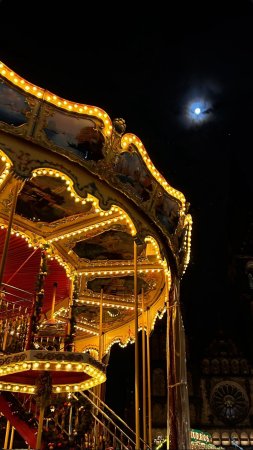 Carousel at night скачать фон 1424 x 2532