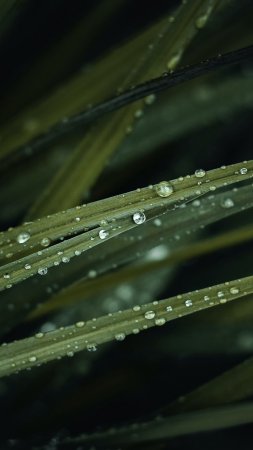 Макросъемка воды