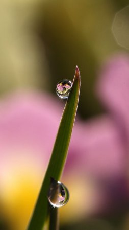 Капли воды
