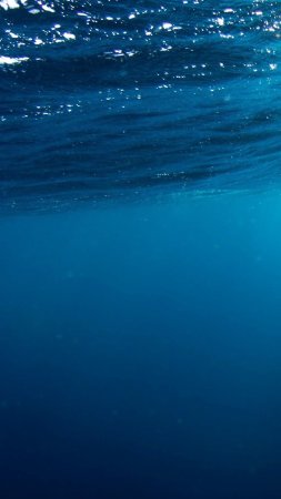 Фон море под водой скачать фон 1080 x 1920