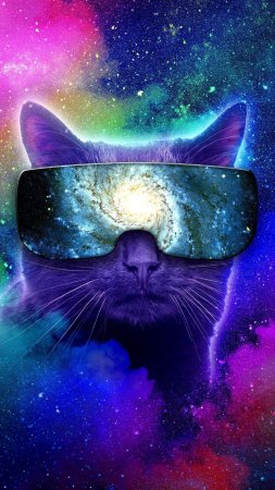 Космический кот