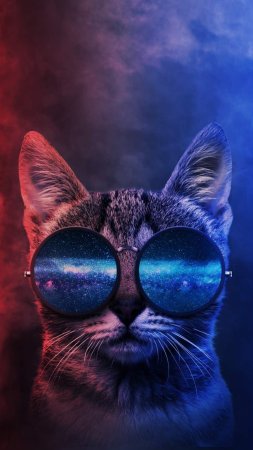 Космический кот в очках