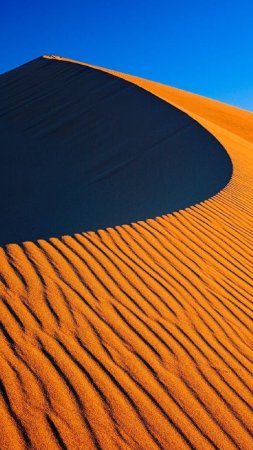 Дюна в пустыне скачать фон 1080 x 1920