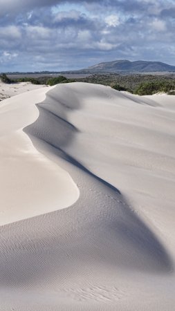 Sand dunes of wylie bay near esperance western australia скачать фон 1424 x 2532