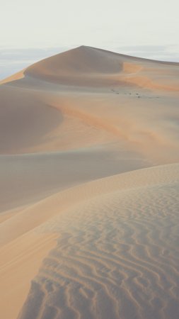Пустыня недалеко от абу-даби скачать фон 1424 x 2532