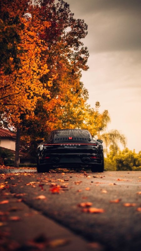 Porsche gt rs