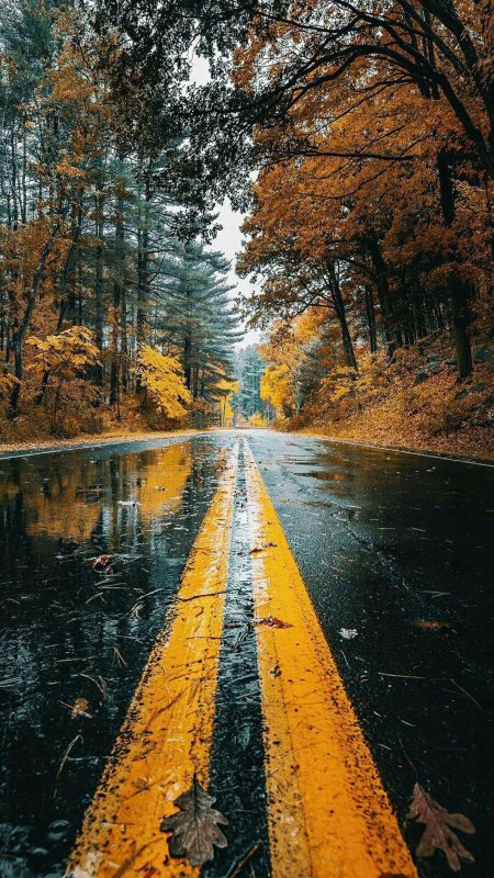 Пейзажи осенние