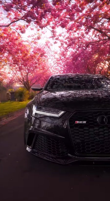 Audi rs avant