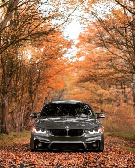 Bmw m f