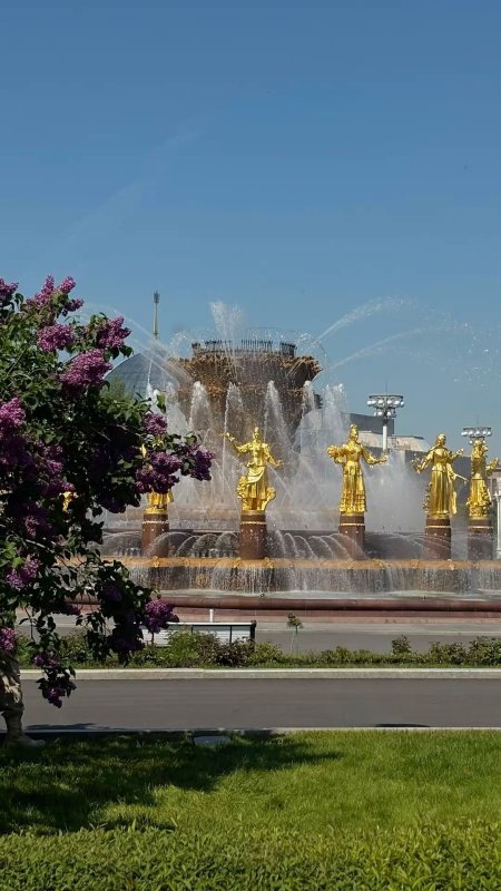 Фонтан дружбы народов на вднх сверху