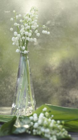 Весенний ландыш