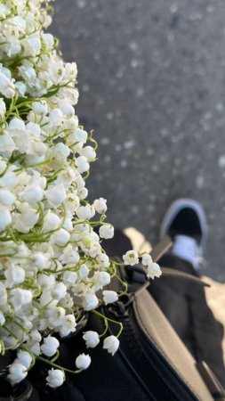 Ландыш букет