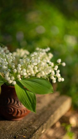 Цветы ландыши букет