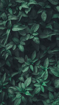 Обои для инстаграмма