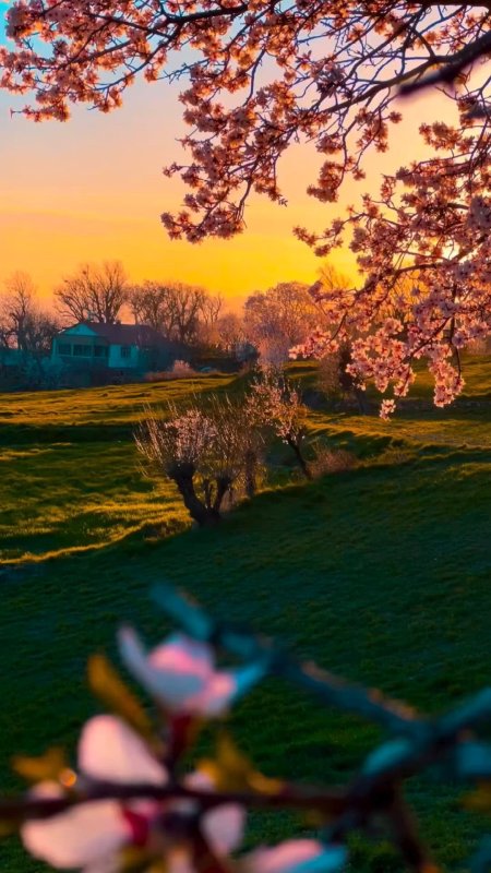 Пейзажи природа