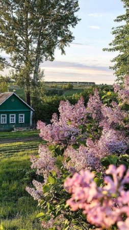 Весна в деревне