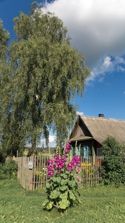 Природа в деревне летом
