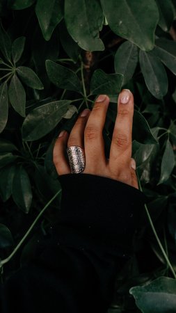 Серебряное кольцо