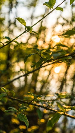 Пейзажи природа