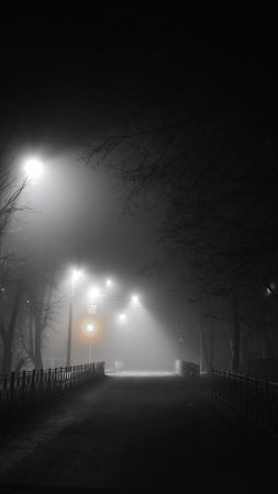 Ночью в тумане