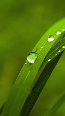 Капли воды