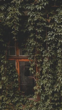 Старинное окно