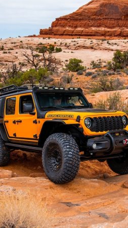 Внедорожник jeep wrangler rubicon