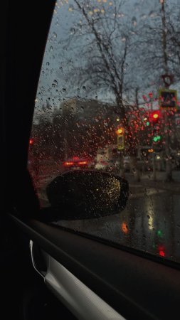 Вид из окна машины