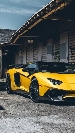 Родстер Lamborghini aventador s