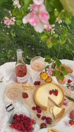 Пикник эстетика