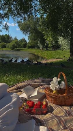 Идеи для пикника на природе