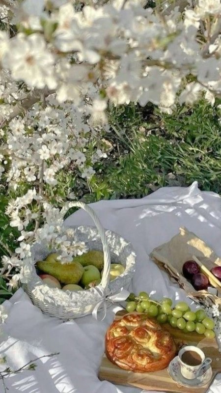 Пикник на природе
