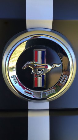 Логотип Ford Mustang