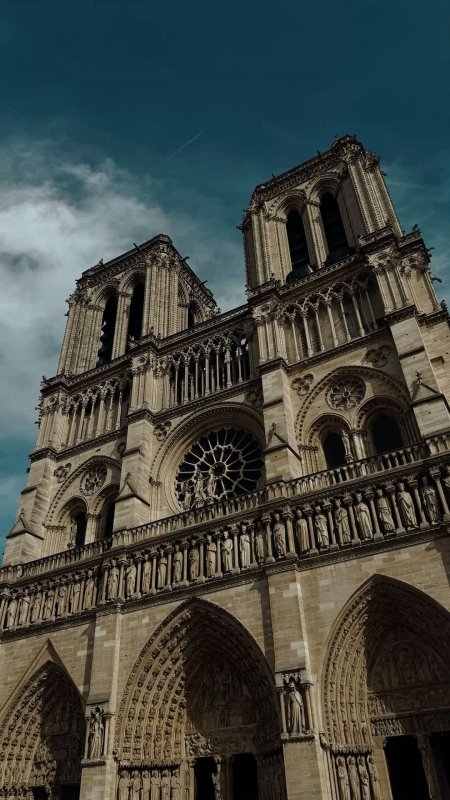 Cathédrale notre dame de paris