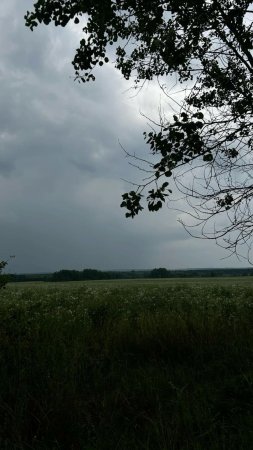 Июньская гроза