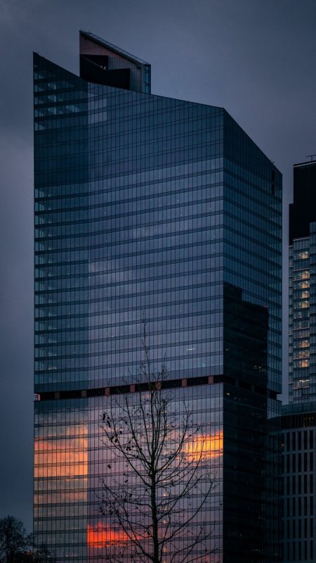 Небоскрёб