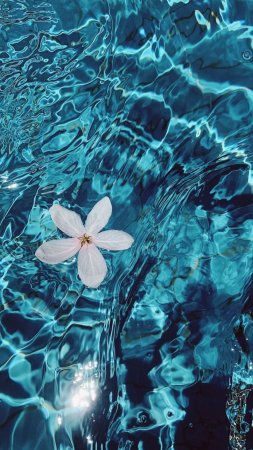Радужная вода с цветком