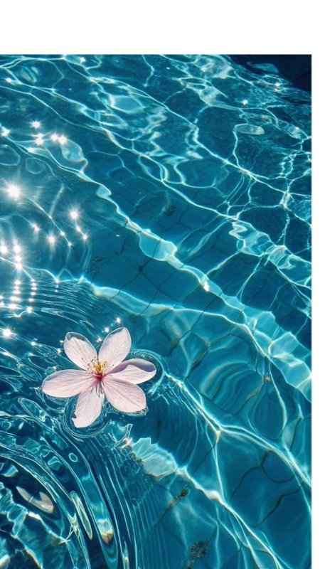 Радужная вода, цветок