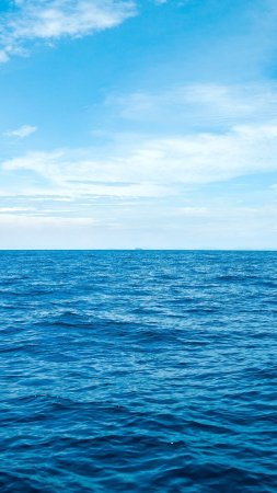 Море синее