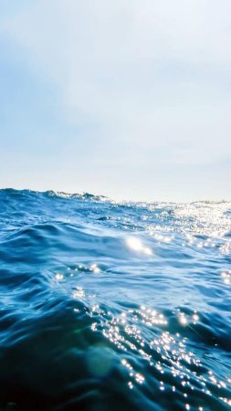 Волна, солнце, море