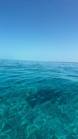 Вода, океан, свет, синий, чистый, поверхность, отражение