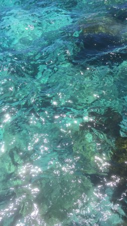 Зеленая вода, солнечные блики