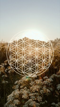 Сакральная геометрия