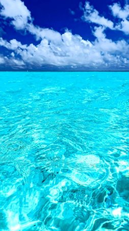 Море синего